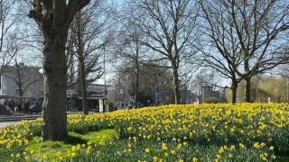 logo: Gemeente Haarlem